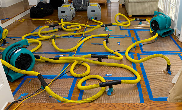 Professional Water Damage Restoration technician working in Sullivan, IN